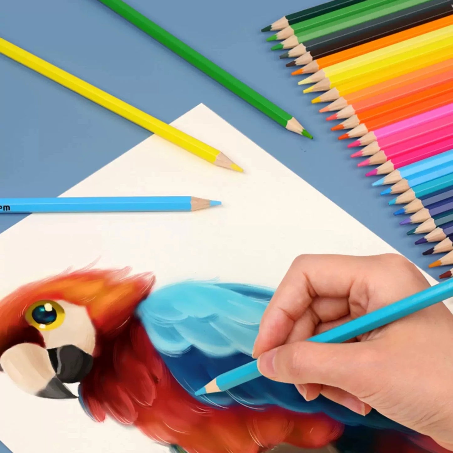 Colored Pencils